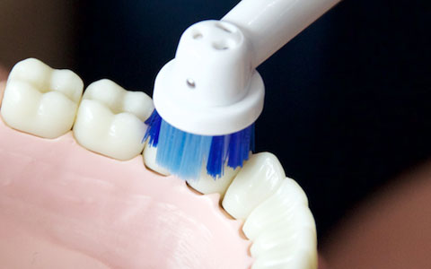 Dental Hygienist Dental Treatment Dental Hygienist Dental Treatment